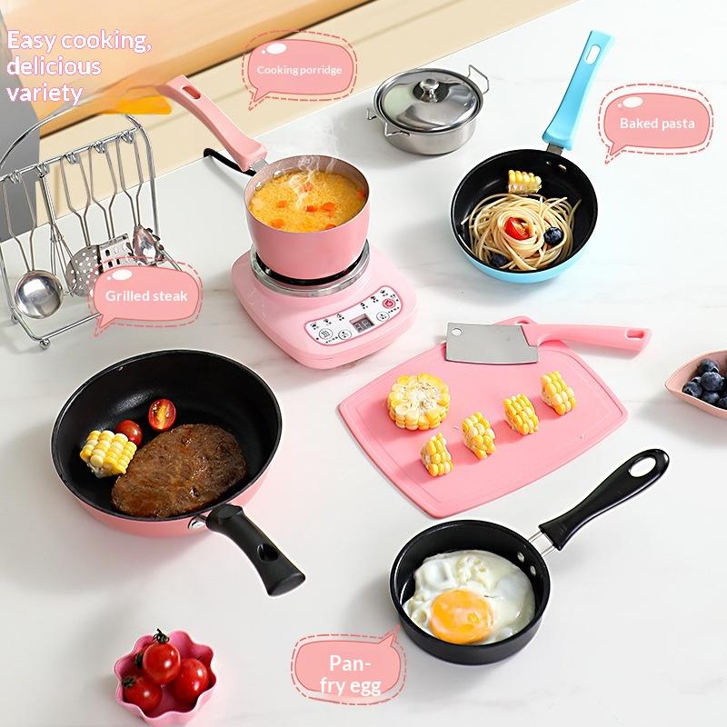 * 1개입 휴대용 오믈렛 팬 미니 논스틱 주철 프라이팬 - Induction Cooktop Portable 리뷰 및 가격
