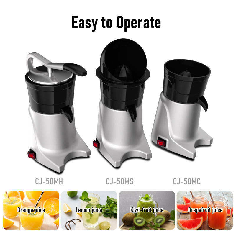 주방 가전 블렌더 및 착즙기 생오렌지 멀베리 칼라만시  - Kitchen Appliances In 리뷰 및 가격