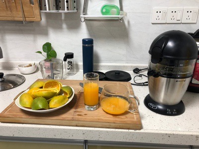 전기 감귤 착즙기 – 생과일 오렌지/레몬 압착기, 스탠 - Juicer 리뷰 및 가격