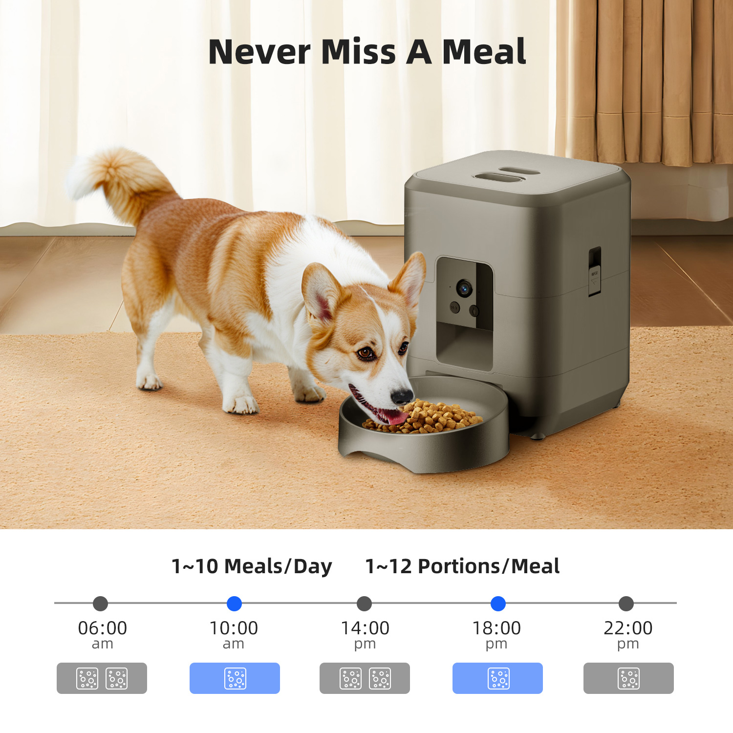 2L 자동 급식기, 스마트 반려동물 급식기, Wi-Fi - Kitchen Appliances Video 리뷰 및 가격